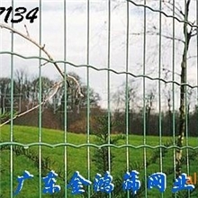 厂家销售：荷兰网、波浪荷兰网、涂塑荷兰网、镀锌荷兰网