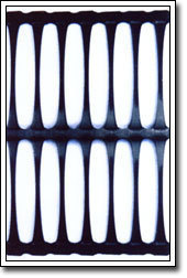 厂家直供山东润德低价供应单向拉伸聚丙烯土工格栅，塑料土工格栅