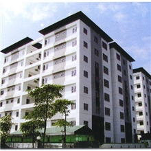 专业涂料，高性能防水涂料