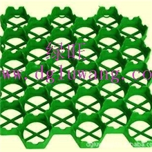 供应绿旺3.8公分植草格/植草板/草坪格