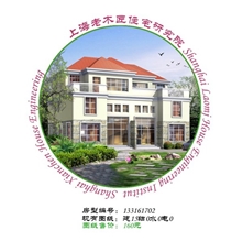 建筑图纸133161702新农村房屋