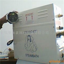 上海现化供应安装桑拿设备蒸汽机芬兰浴