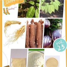 人参茎叶总皂甙