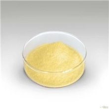 供应槐米提取物