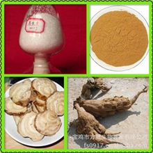 现货现货葛根提取物