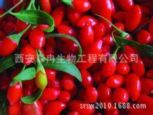 专业生产枸杞子提取物/枸杞多糖10-60%质优价廉森冉生物现货