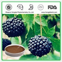 改善睡眠中药，刺五加提取物，专业植提厂家，现货供应