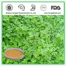 当归提取物，纯天然蒿本内酯，优质中药成分，欢迎新老客户咨询