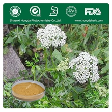 当归提取物，纯天然优质中药成分，质优价廉，十年信誉保证