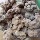 生产供应纯植物齐墩果提取物齐墩果酸40-98%