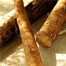 供应山药提取物，薯蓣皂甙