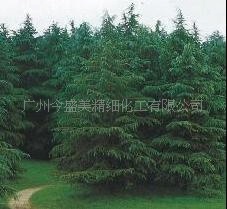 精油厂家提供丝柏精油单方精油精油原料批发精油OEM加工