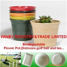 供应10cm可降解花盆