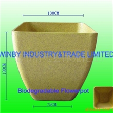 长期供应优质可降解花盆