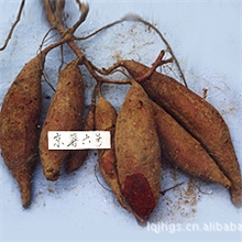 提供批量皮薄肉甜京薯六号