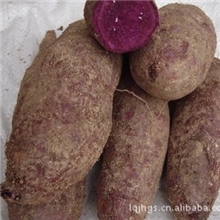 大量供应高品质香甜紫红薯