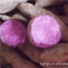 生产提供美味可口京薯六号