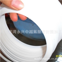 厂家根据要求定制加工四氟垫片