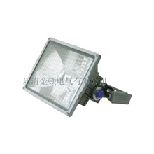 NTW9270-1000大功率外场投光灯