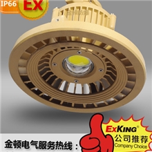 LEDDGS80W矿用防爆投光灯