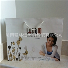 礼品袋|手提袋厂家专业生产家居用品纸袋/质量保证
