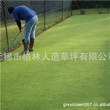 【销量全球厂家秒杀】建筑工程绿化草皮