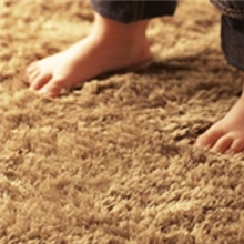 勇胜地毯2.5厘米不掉色超顺滑丝毛客厅茶几卧室地毯丝毛地毯