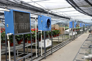 供应高档花卉暖风系统花卉暖风机大棚暖风机泮禄专利！