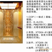 豪华轿厢住宅电梯