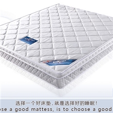 椰棕弹簧床垫席梦思弹簧床垫卧室软床床垫可拆洗J519