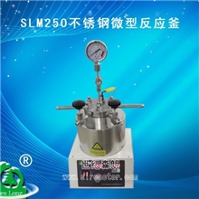 SLM250不锈钢微型反应釜