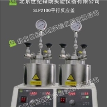 SLP2100双位平行反应釜