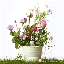 经销供应补水保湿复方精油批发睡眠复方精油补水精油