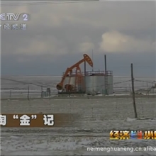 石油区块转让合作