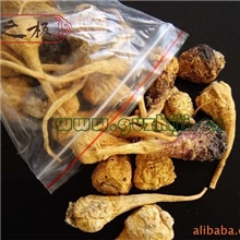 秘鲁玛卡原种香格里拉玛咖丽江玛咖原料玛卡粉云南玛咖