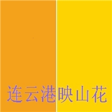 热销优质有机颜料耐高温色粉颜料黄HGRPY191塑料专用色粉