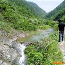 土地荒山开发合作