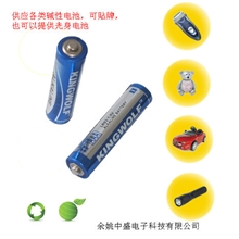 5号环保碱性电池干电池AALR03AM-4