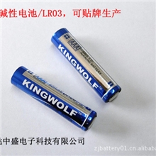 供应7号碱性电池alkalinebattery