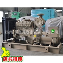 【湖北特供】重庆康明斯250KW柴油发电机组