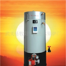 供应全自动燃油燃气锅炉浴室泳池热水供暖锅炉