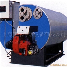 韩国庆东真空锅炉H型