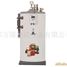 供应燃气立式蒸汽锅炉，燃油立式蒸汽锅炉