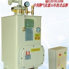 厂家直销中邦牌安全节能防暴电加热液化气气化炉，