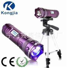 手电筒厂家供应6档5W蓝白双光进口LED钓鱼灯