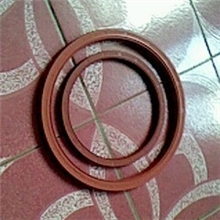 专业生产各种氟橡胶油封，硅橡胶油封，各种橡胶密封件