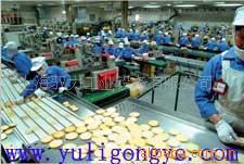 供应订制饼干生产线/饼干输送线/包装线