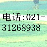 对硝基苯重氮氨基偶氮苯(5392-67-6)