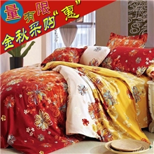 厂家直销年终限时狂甩活性保暖印花四件套外贸特定加厚精包装