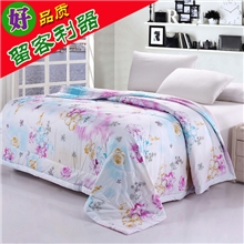 【2013力荐】全棉斜纹夏被单双人空调被纯棉夏凉被子批发特惠